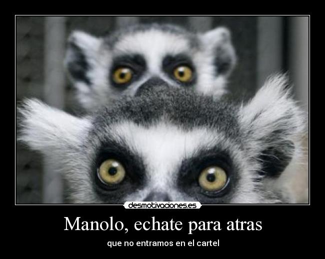 Manolo, echate para atras -