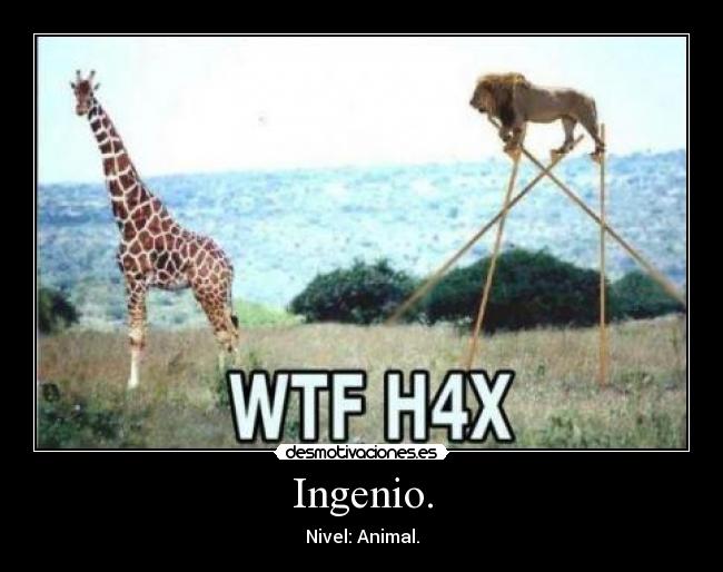 Ingenio. - Nivel: Animal.