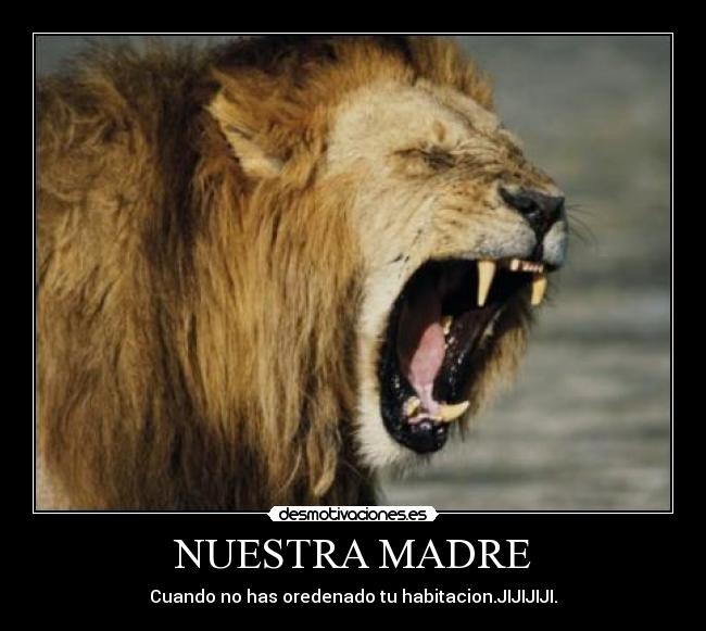 carteles madre leon desmotivaciones