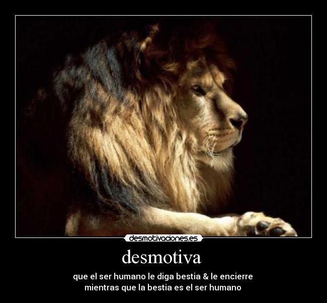 desmotiva -