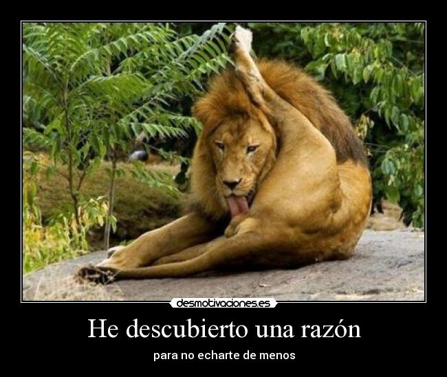 He descubierto una razón - 