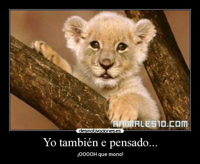 Yo también e pensado... - ¡OOOOH que mono!