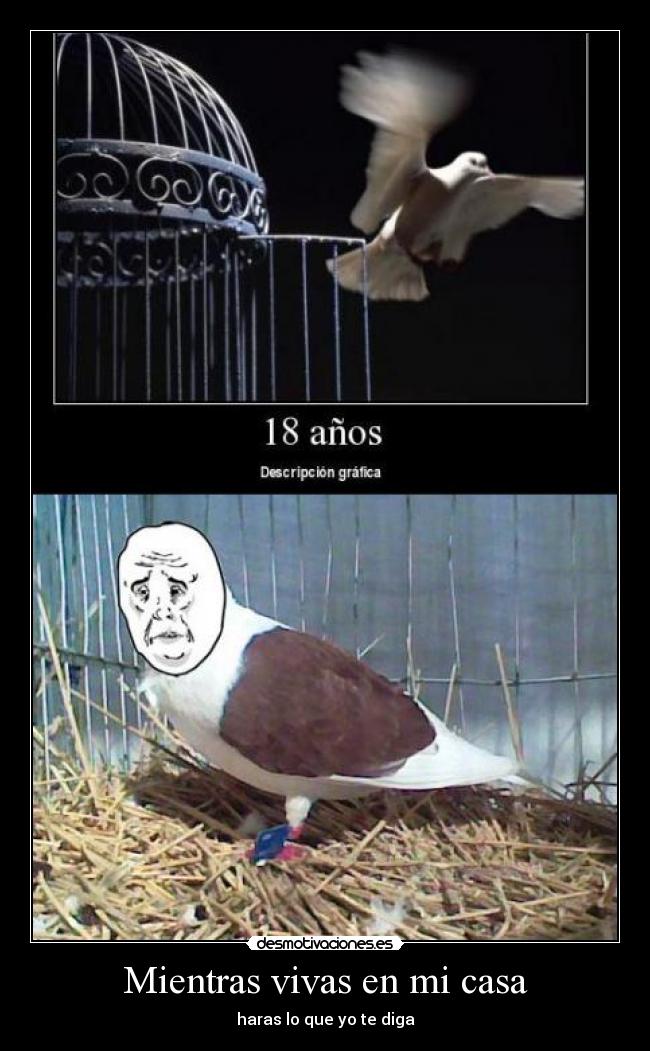 Mientras vivas en mi casa - 