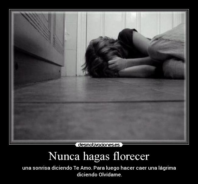 Nunca hagas florecer - una sonrisa diciendo Te Amo. Para luego hacer caer una lágrima diciendo Olvídame.