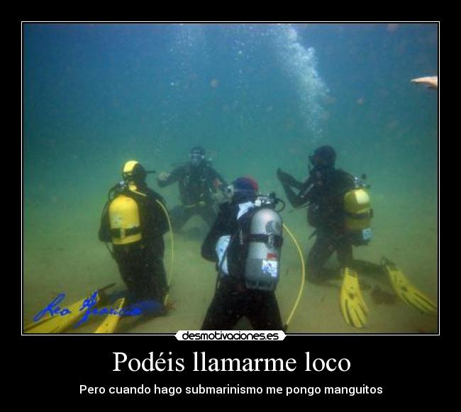 Podéis llamarme loco - Pero cuando hago submarinismo me pongo manguitos