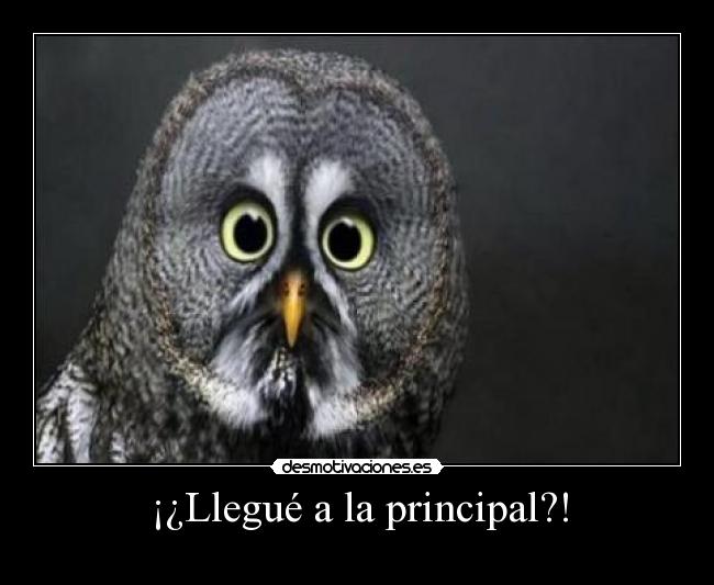¡¿Llegué a la principal?! - 