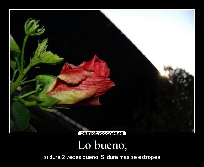 Lo bueno, - si dura 2 veces bueno. Si dura mas se estropea