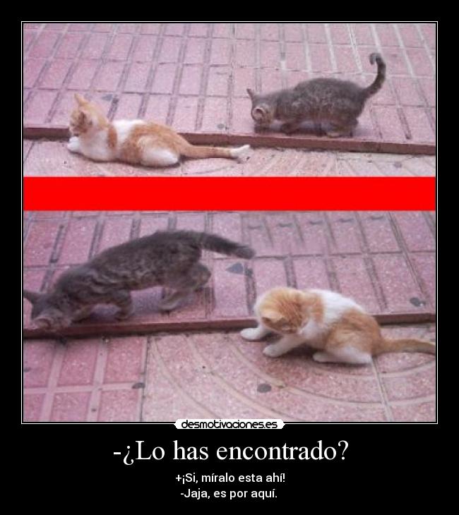 -¿Lo has encontrado? -