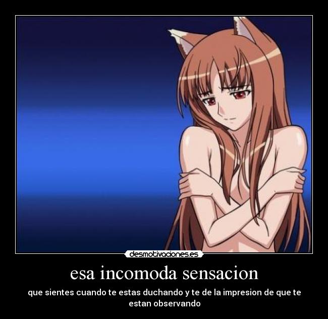 carteles ducha observar spice and wolf horo incomoda sensacion anime manga desmotivaciones