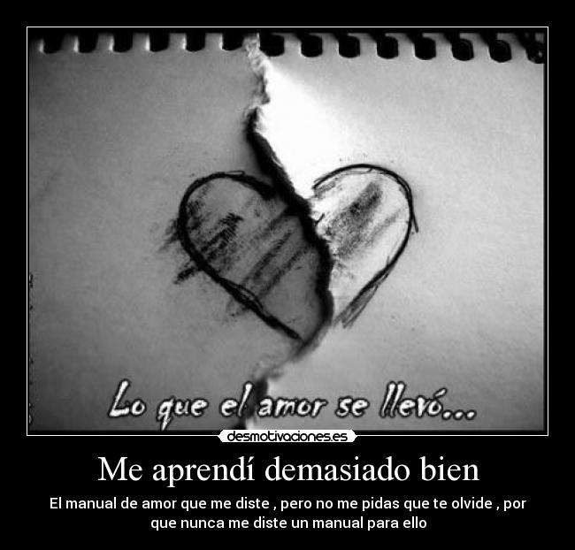 Me aprendí demasiado bien - El manual de amor que me diste , pero no me pidas que te olvide , por
que nunca me diste un manual para ello