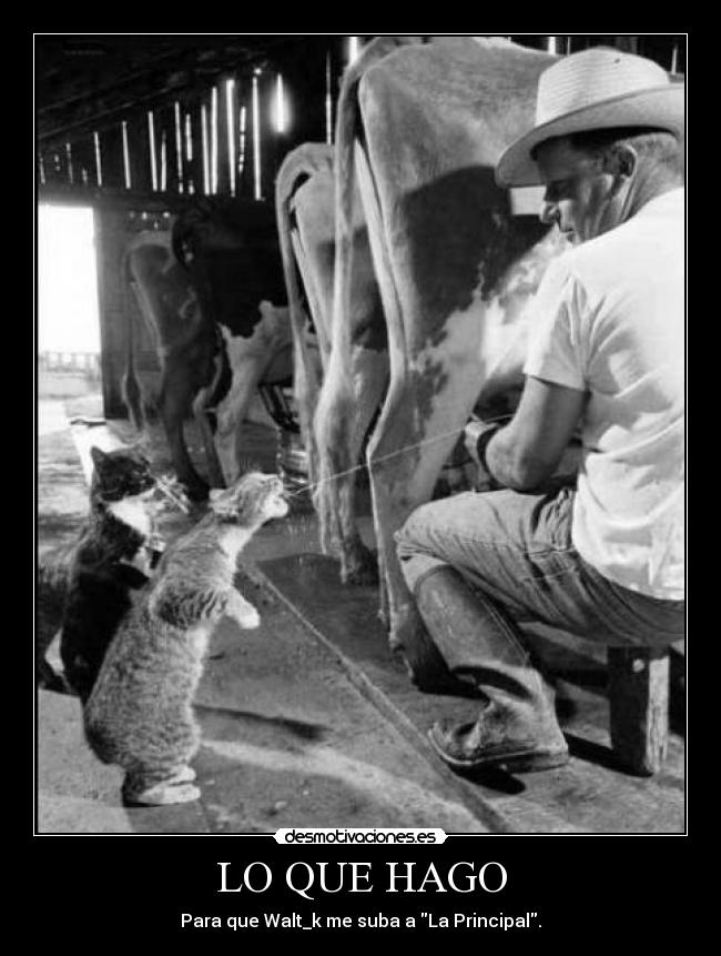 carteles walt_k desmotivaciones