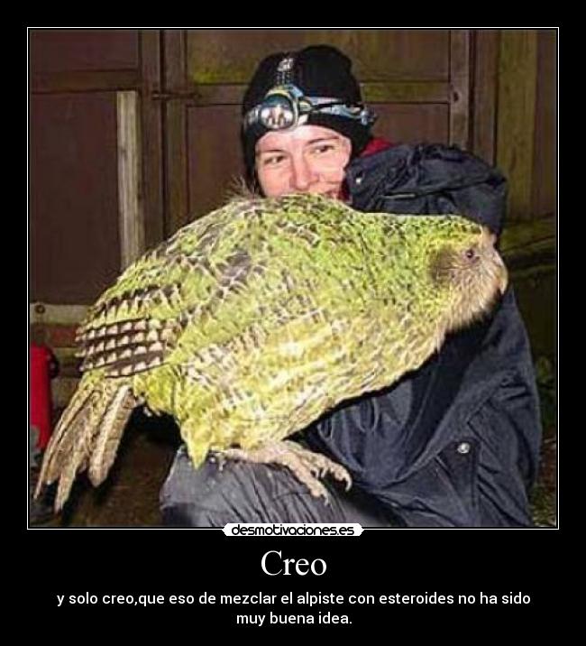 Creo -