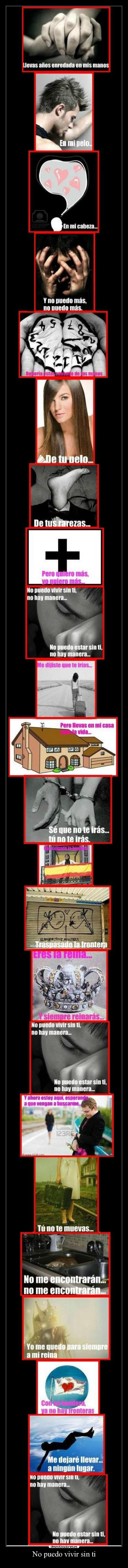 No puedo vivir sin ti - 