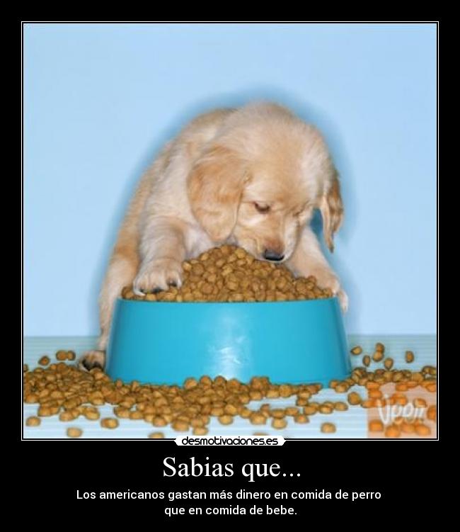 Sabias que... -