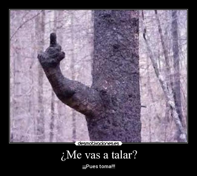 ¿Me vas a talar? - 