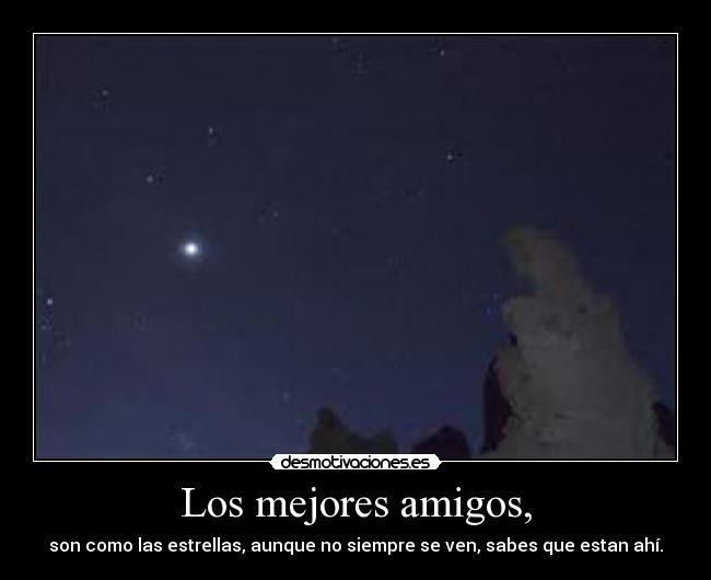 Los mejores amigos, - son como las estrellas, aunque no siempre se ven, sabes que estan ahí.