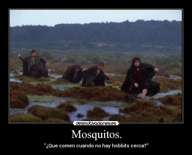Mosquitos. - 