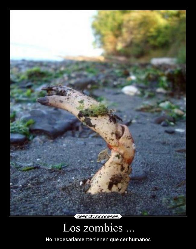 Los zombies ... -