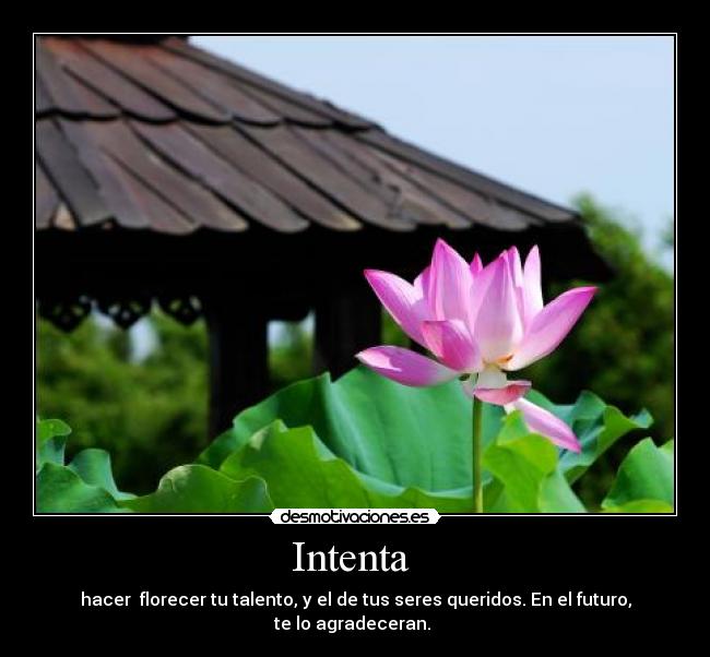 Intenta - hacer florecer tu talento, y el de tus seres queridos. En el futuro, te lo agradeceran.
