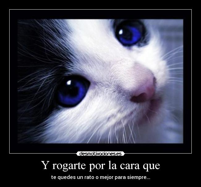 Y rogarte por la cara que - 