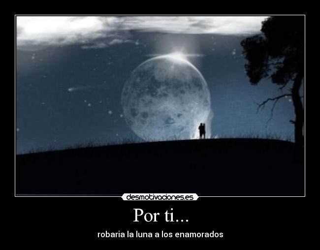 carteles por ti robar luna enamorado desmotivaciones