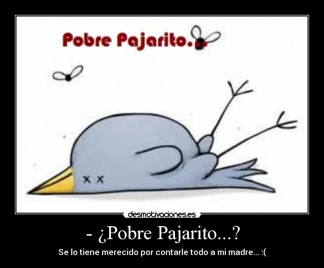 - ¿Pobre Pajarito...? - Se lo tiene merecido por contarle todo a mi madre... :(