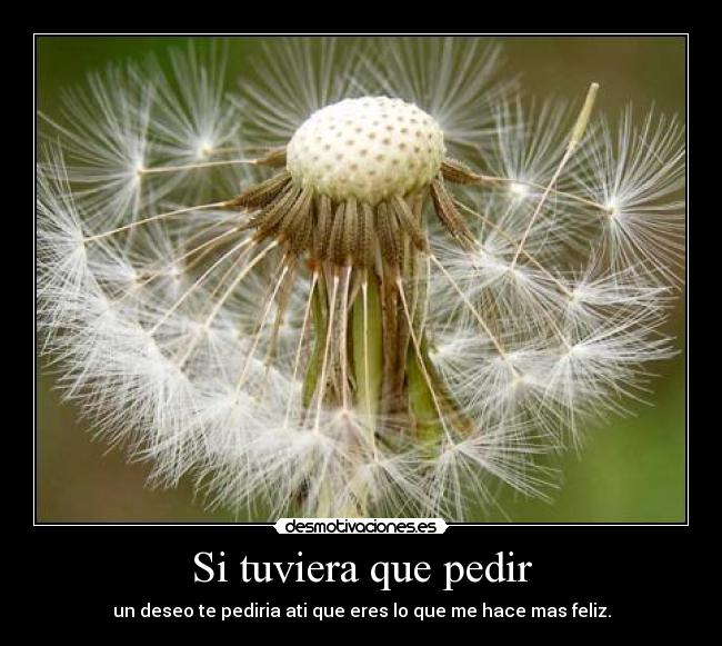 Si tuviera que pedir - un deseo te pediria ati que eres lo que me hace mas feliz.