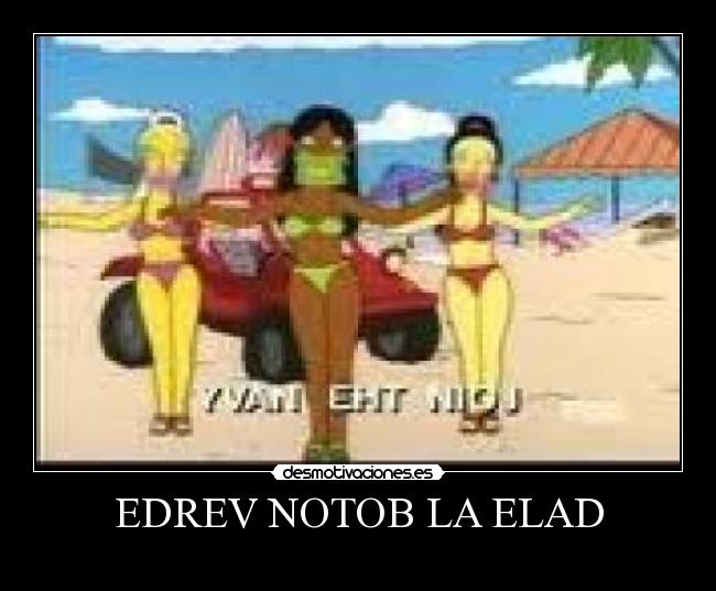 EDREV NOTOB LA ELAD -