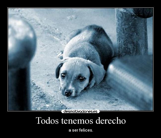 Todos tenemos derecho - a ser felices.