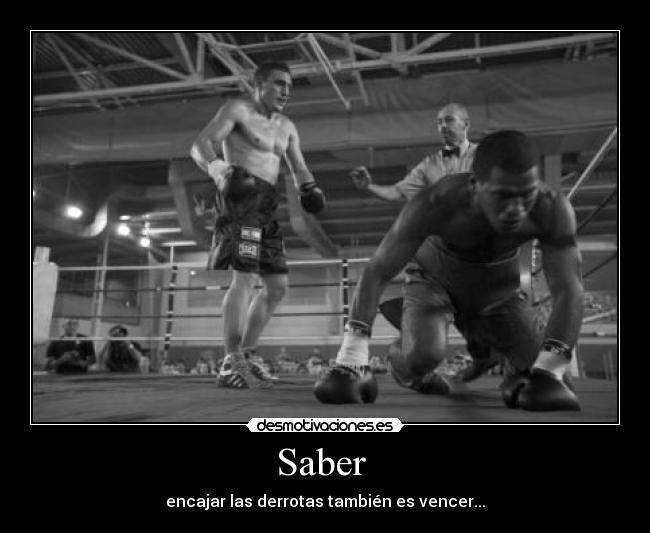 carteles zdfg desmotivaciones