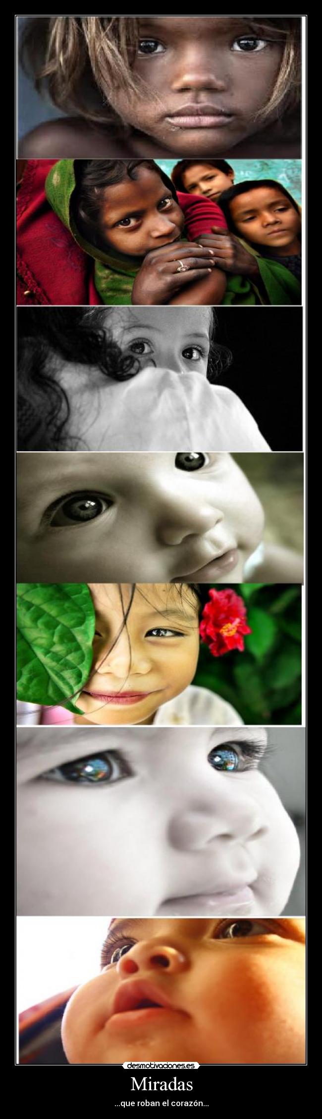 Miradas - ...que roban el corazón...