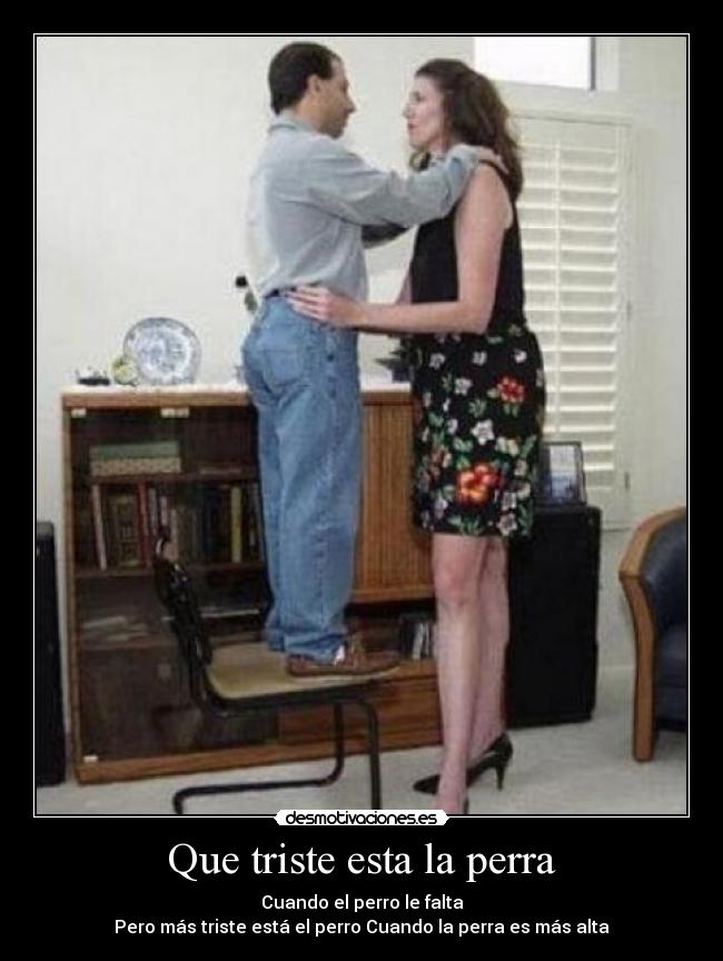 carteles que triste esta perra desmotivaciones