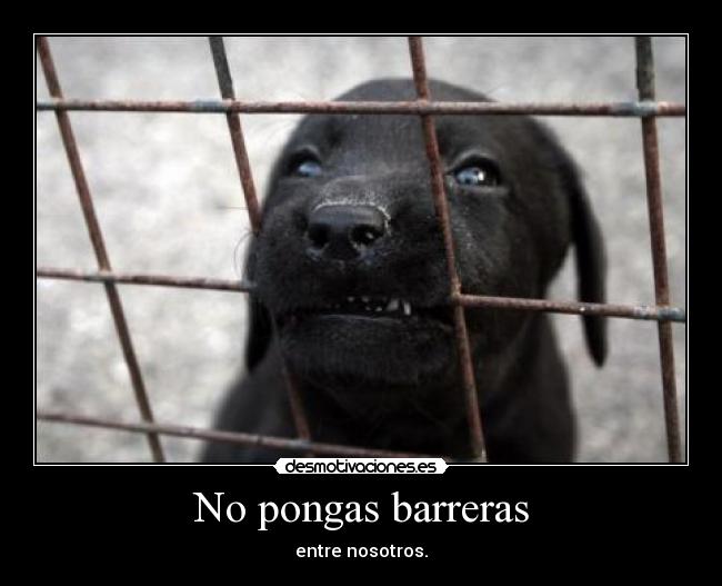 No pongas barreras - 