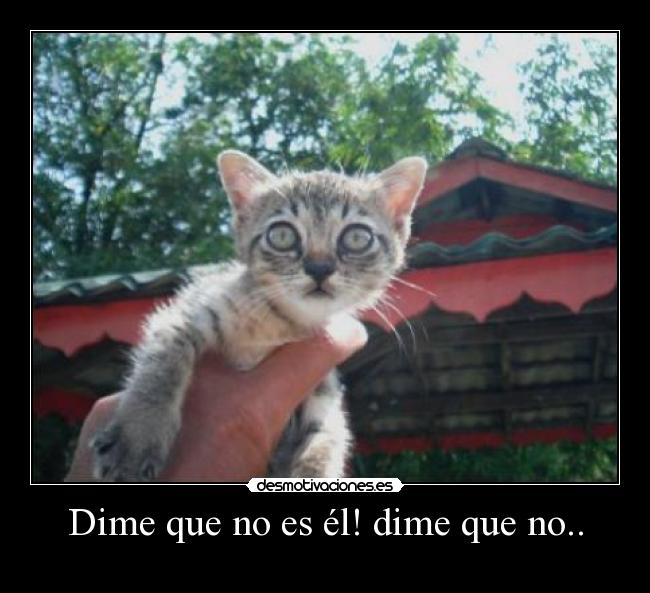 Dime que no es él! dime que no.. -   