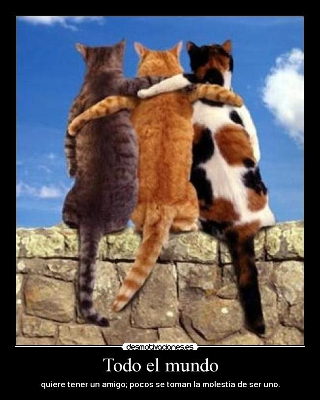 Todo el mundo - quiere tener un amigo; pocos se toman la molestia de ser uno.