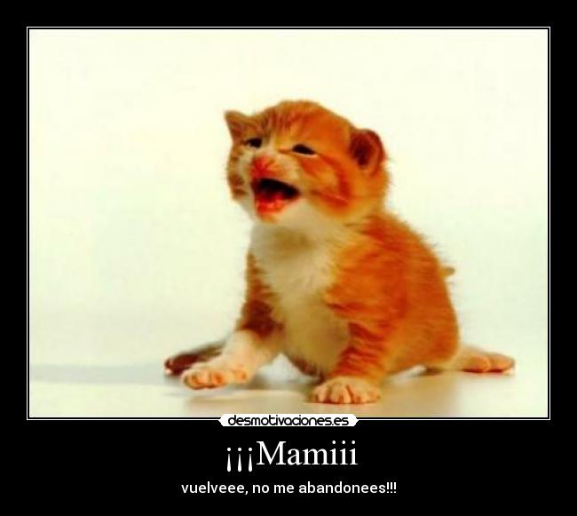 ¡¡¡Mamiii -