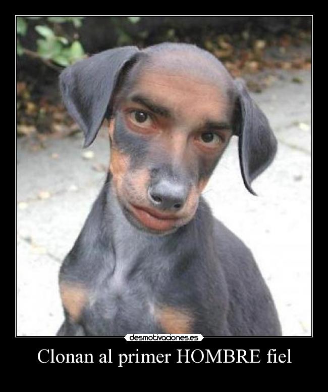 Clonan al primer HOMBRE fiel -