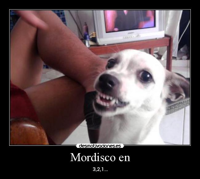 Mordisco en - 3,2,1...