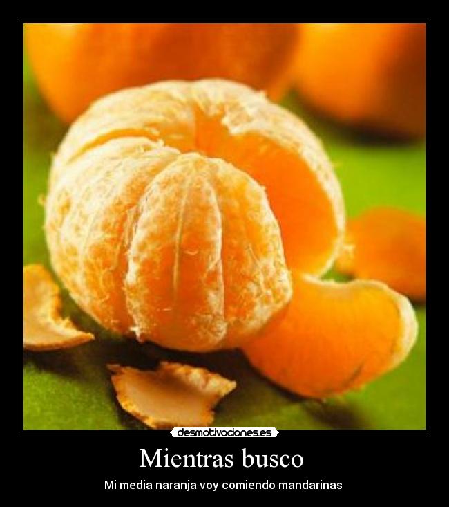 Mientras busco -