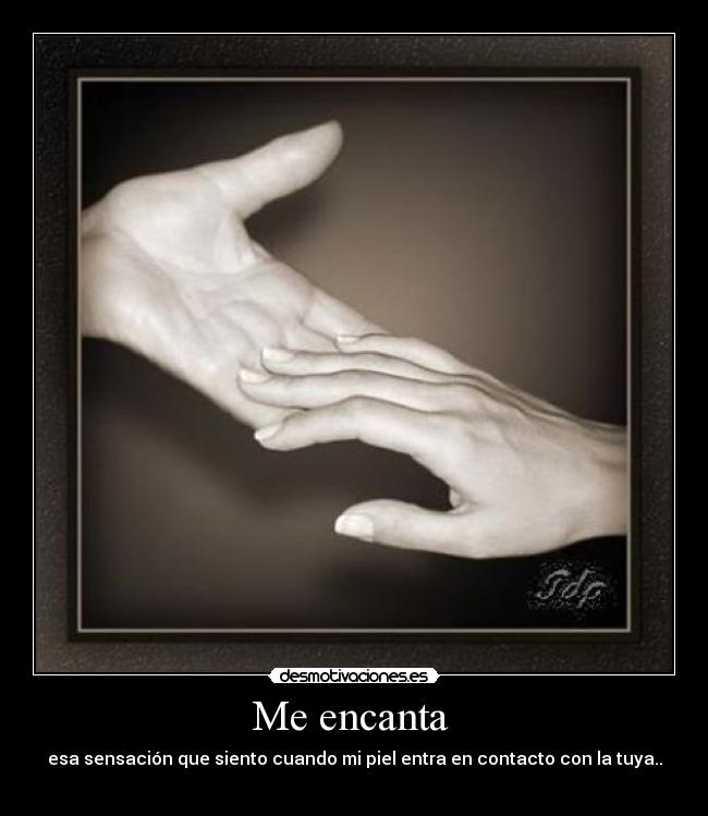 carteles encanta desmotivaciones