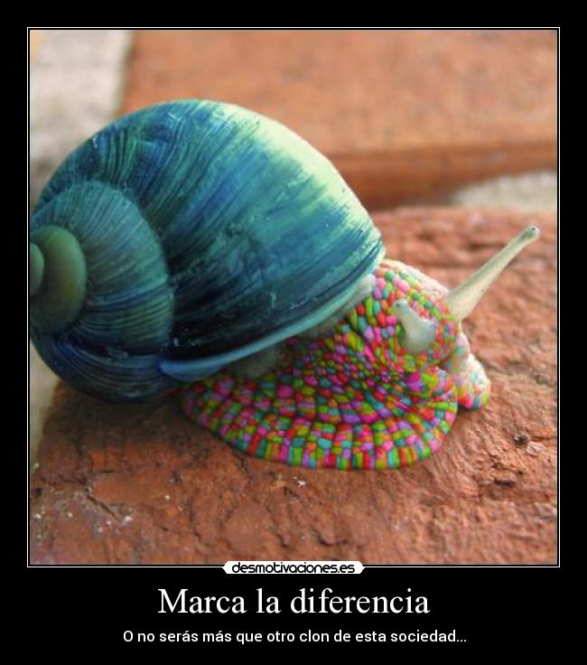 Marca la diferencia - 