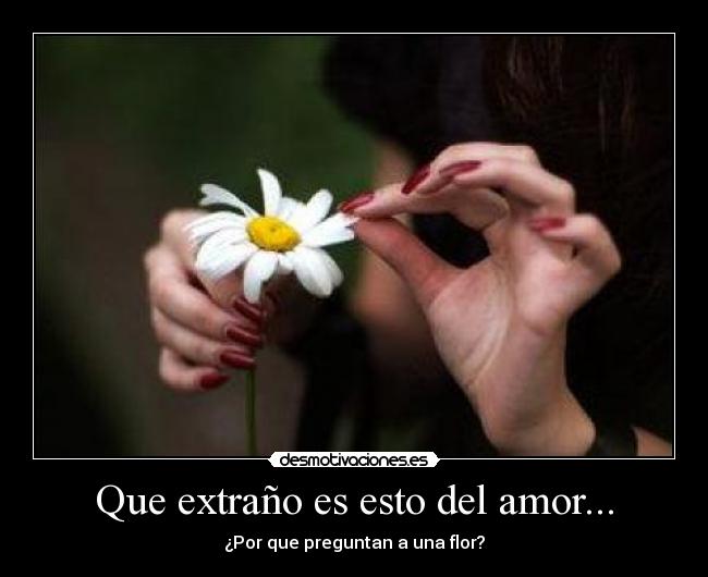 Que extraño es esto del amor... - 