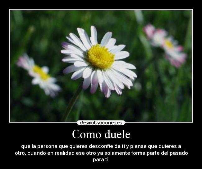 Como duele - que la persona que quieres desconfie de ti y piense que quieres a
otro, cuando en realidad ese otro ya solamente forma parte del pasado
para ti.