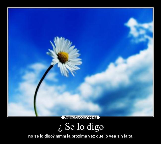 ¿ Se lo digo - no se lo digo? mmm la próxima vez que lo vea sin falta.