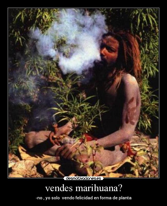 vendes marihuana? - 