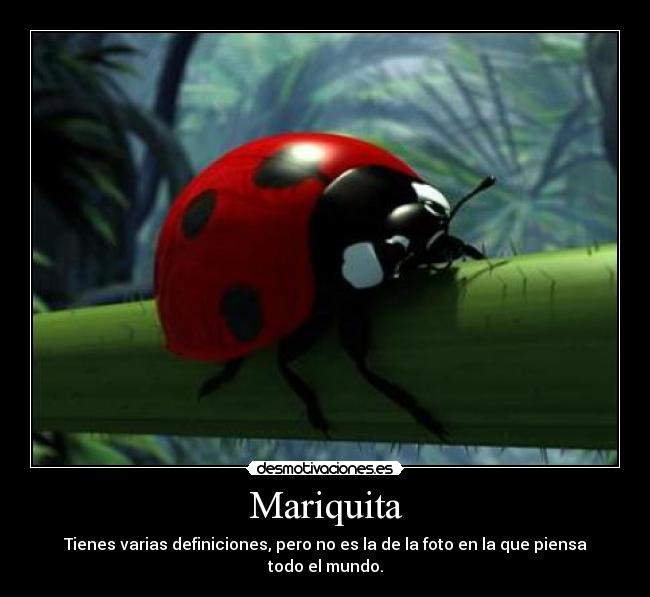 Mariquita -