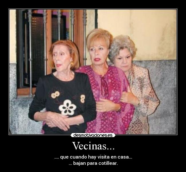 Vecinas... - .... que cuando hay visita en casa...
... bajan para cotillear.