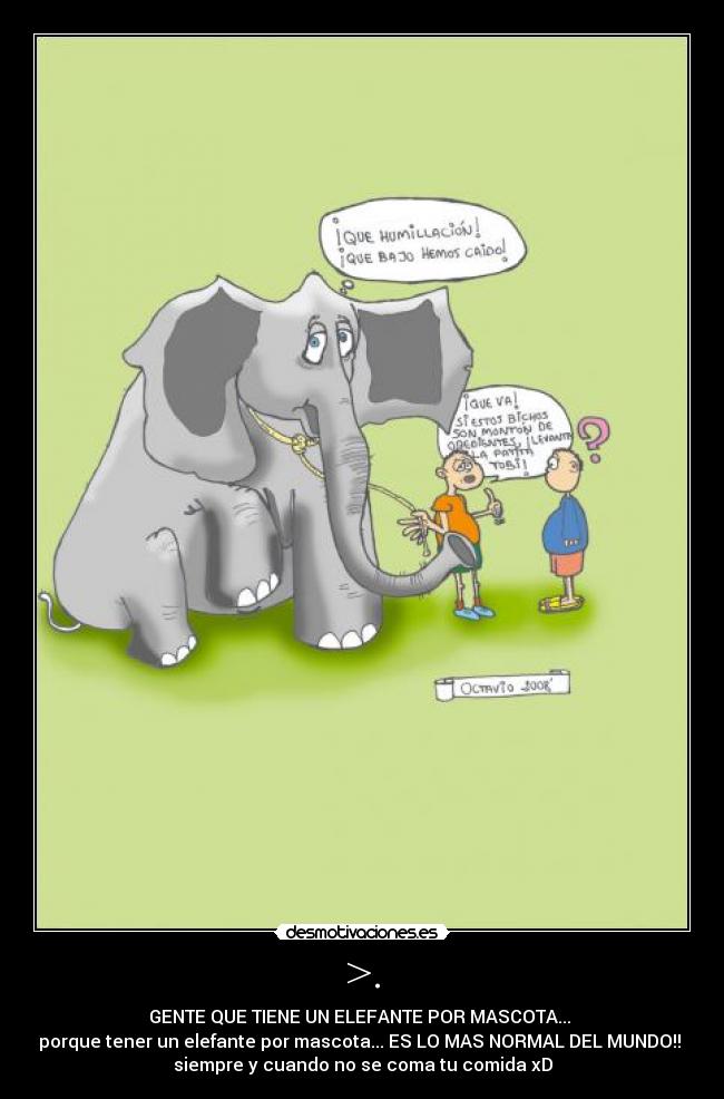 carteles gente que tiene elefante por mascotaxd desmotivaciones