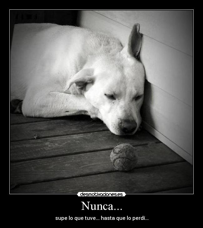 Nunca... - 