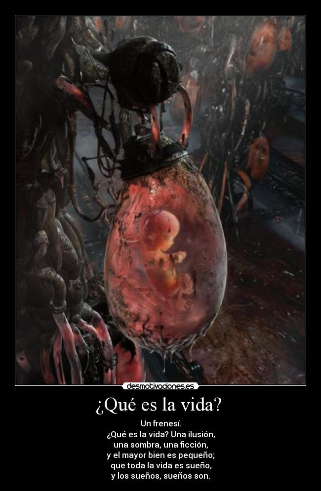 ¿Qué es la vida? - Un frenesí.
¿Qué es la vida? Una ilusión,
una sombra, una ficción,
y el mayor bien es pequeño;
que toda la vida es sueño,
y los sueños, sueños son.